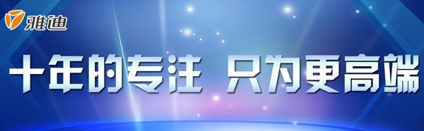 十年的专注，只为更高端——雅迪